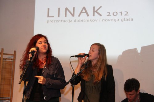 LINAK 2012.