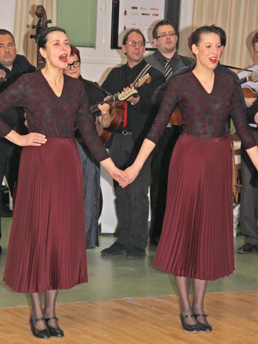 Hrvatski bal na Hati 11.01.2014.